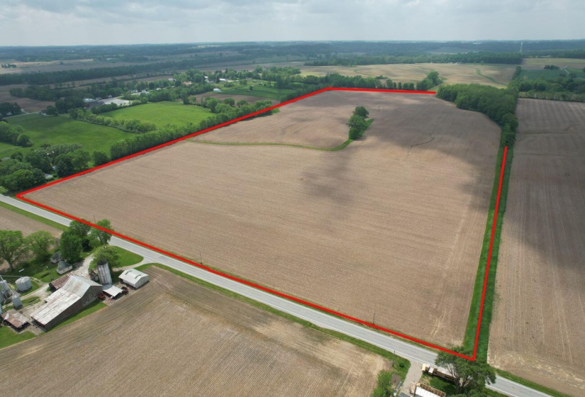 81.5 Acres S.R. 560 1 Boundary