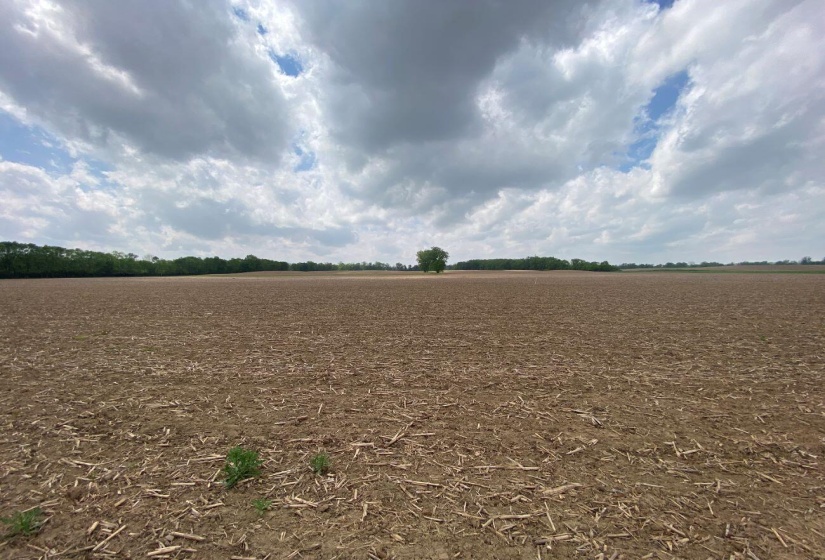 81.5 Acres Road View 1