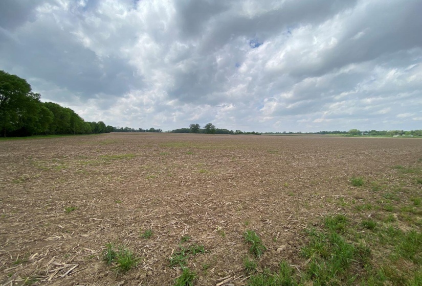 81.5 Acres Road View