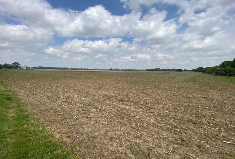 117 Acres Road View