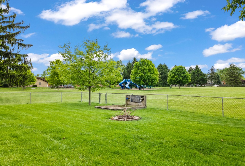 DJI_0459