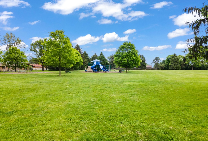 DJI_0444