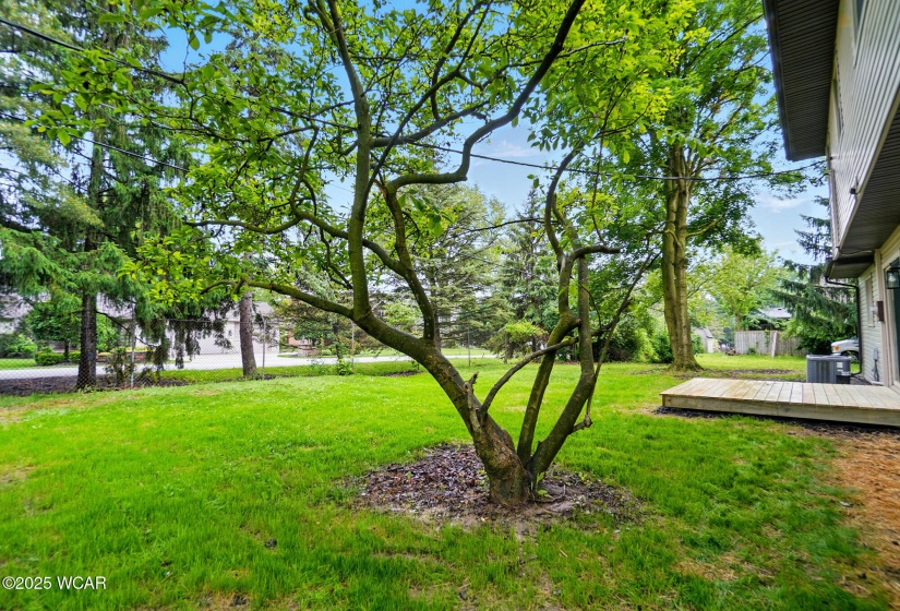 1257 Timberlane Drive, Lima, Ohio, 4 Bedrooms Bedrooms, ,2 BathroomsBathrooms,Residential,For Sale,Timberlane,307152