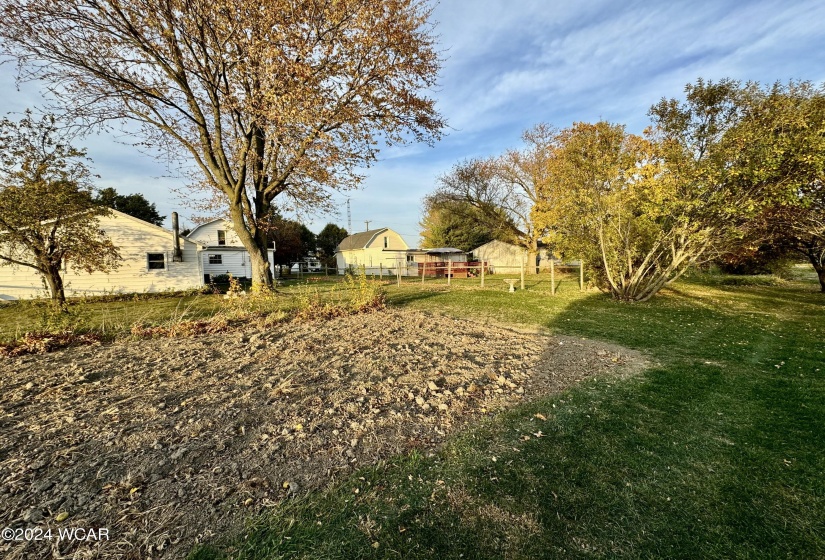 Garden area in back yard