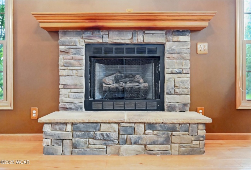 Living Room Fireplace - Gas