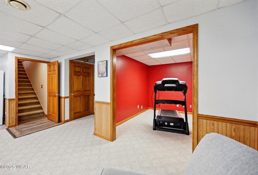 Bonus Room - Basement