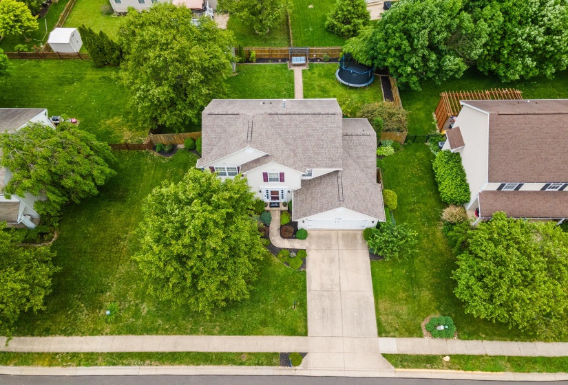 DJI_0804