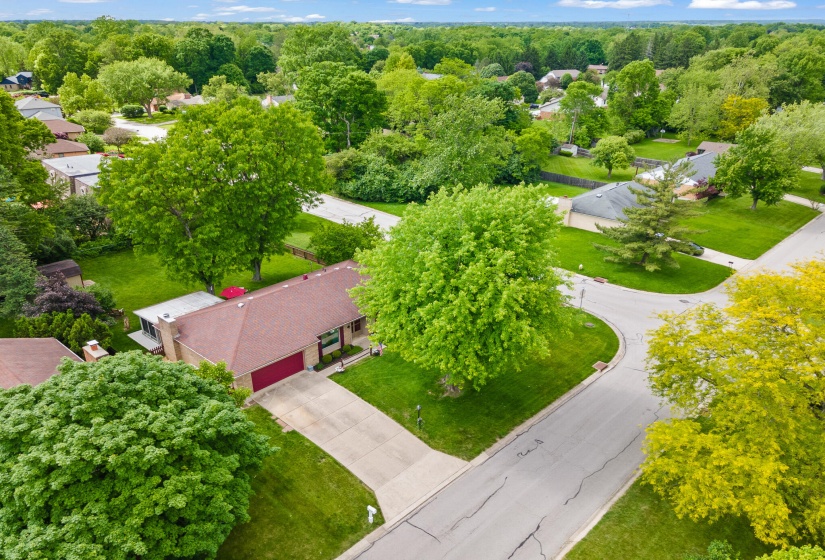 DJI_0962
