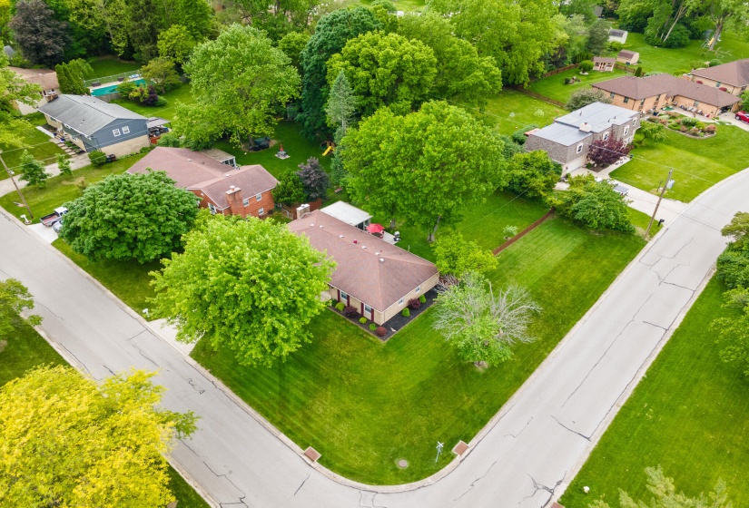 DJI_0959