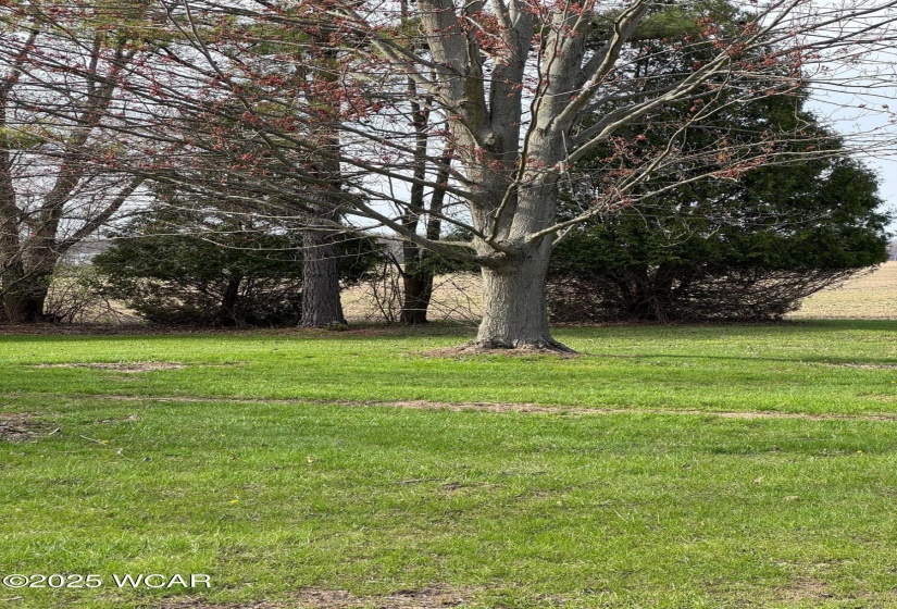 10066 Township Road 32, Arlington, Ohio, 5 Bedrooms Bedrooms, ,2 BathroomsBathrooms,Residential,For Sale,Township Road 32,306764