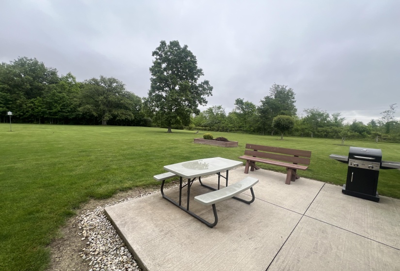 Back Yard View to Woods
