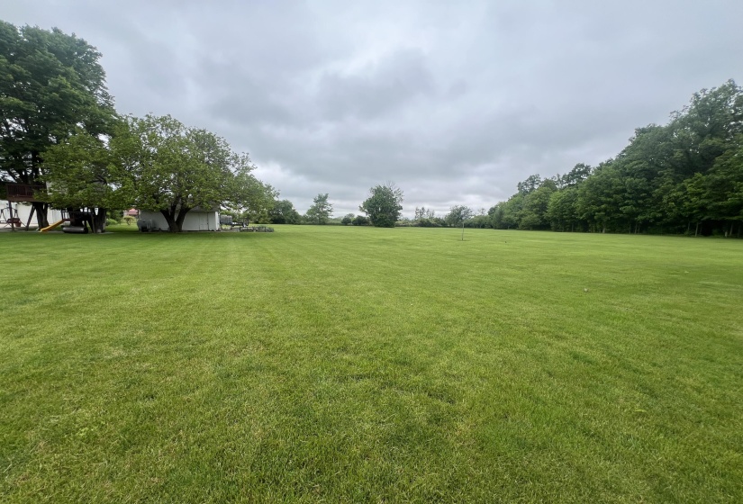 Rear Yard View