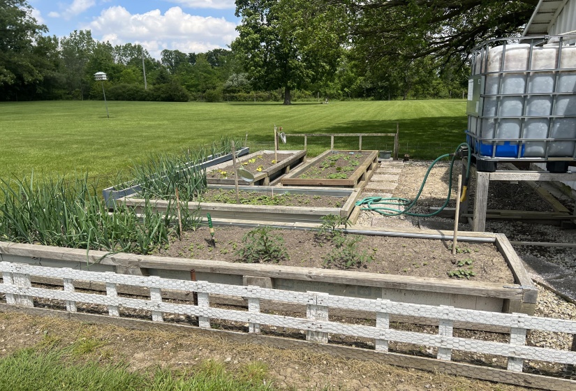 Raised Veggie Gardens