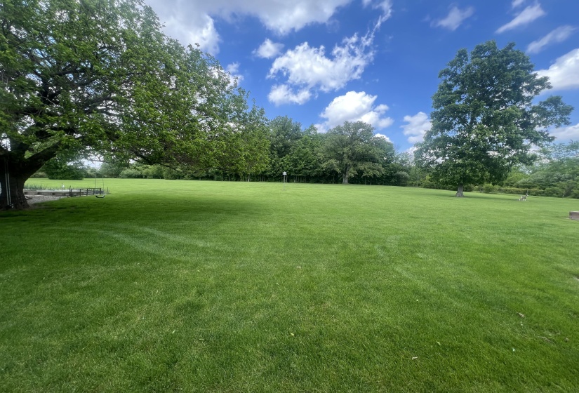 Rear Yard View