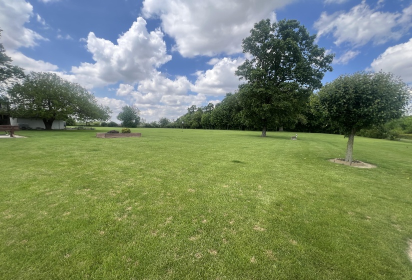 Rear Yard View