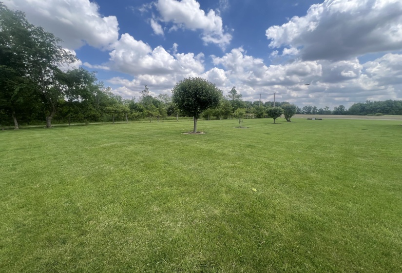 Rear Yard View