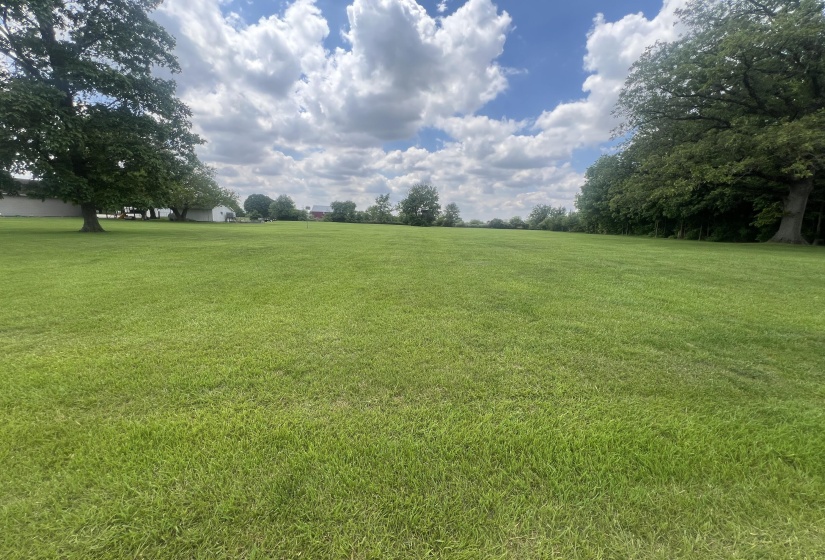 Rear Yard View