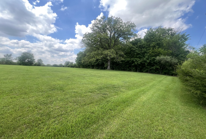 Rear Yard View