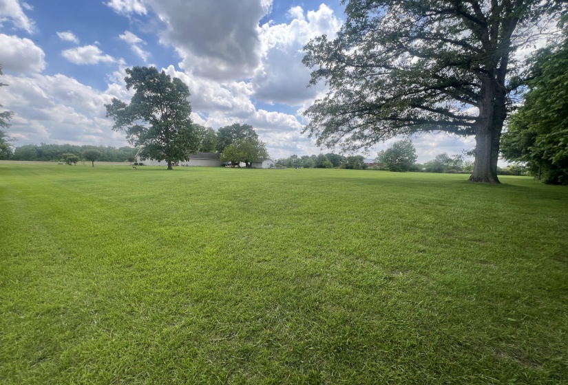 Rear Yard View