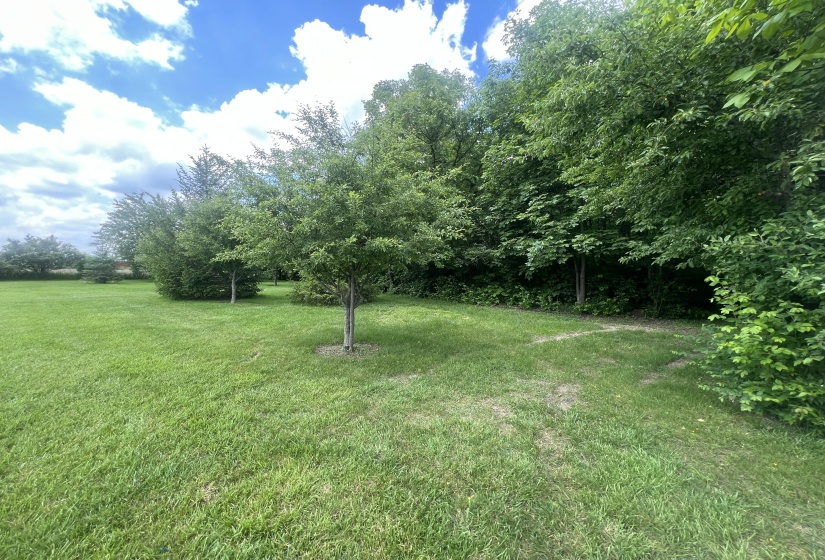 Entrance to Woods