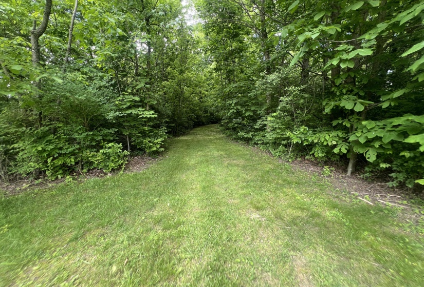 Walking Paths In Woods