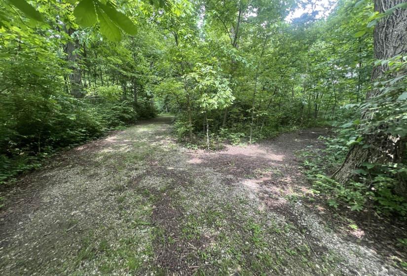 Walking Paths In Woods