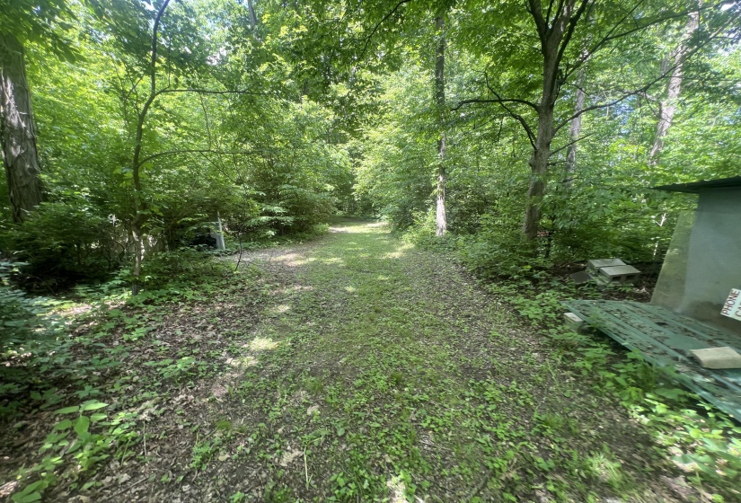 Walking Paths In Woods