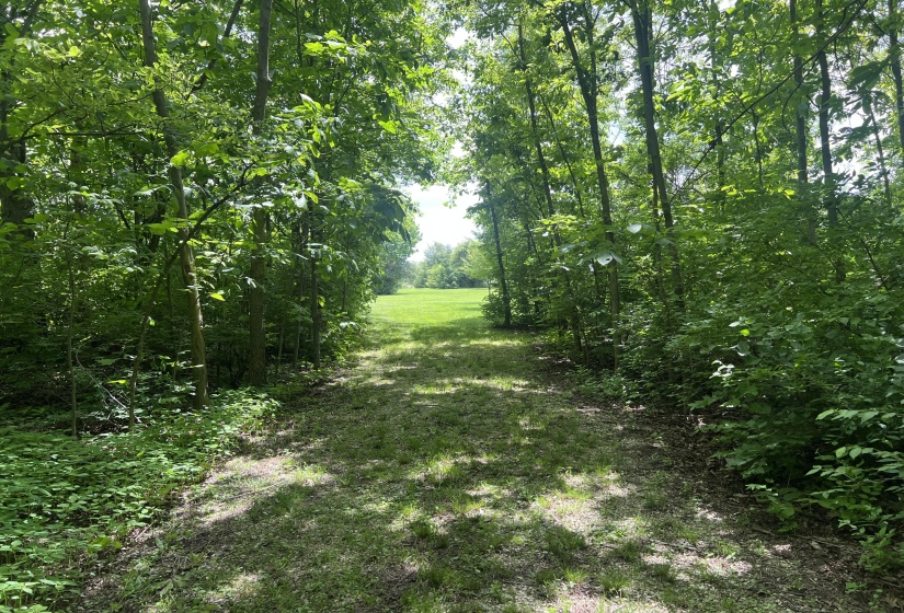 Entrance To Walking Paths In Woods