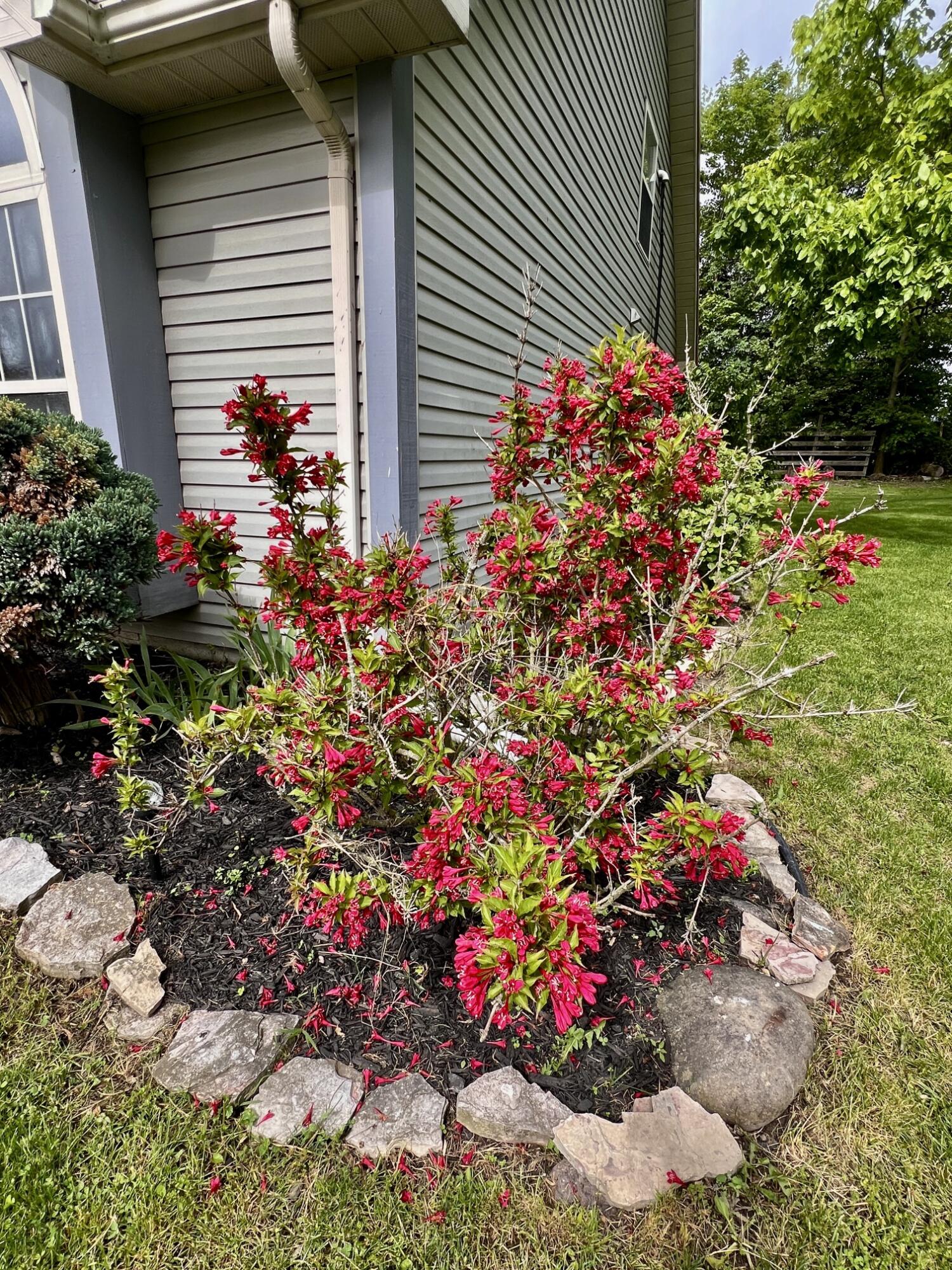 224 Oakcrest Court, Russells Point, Ohio 43348