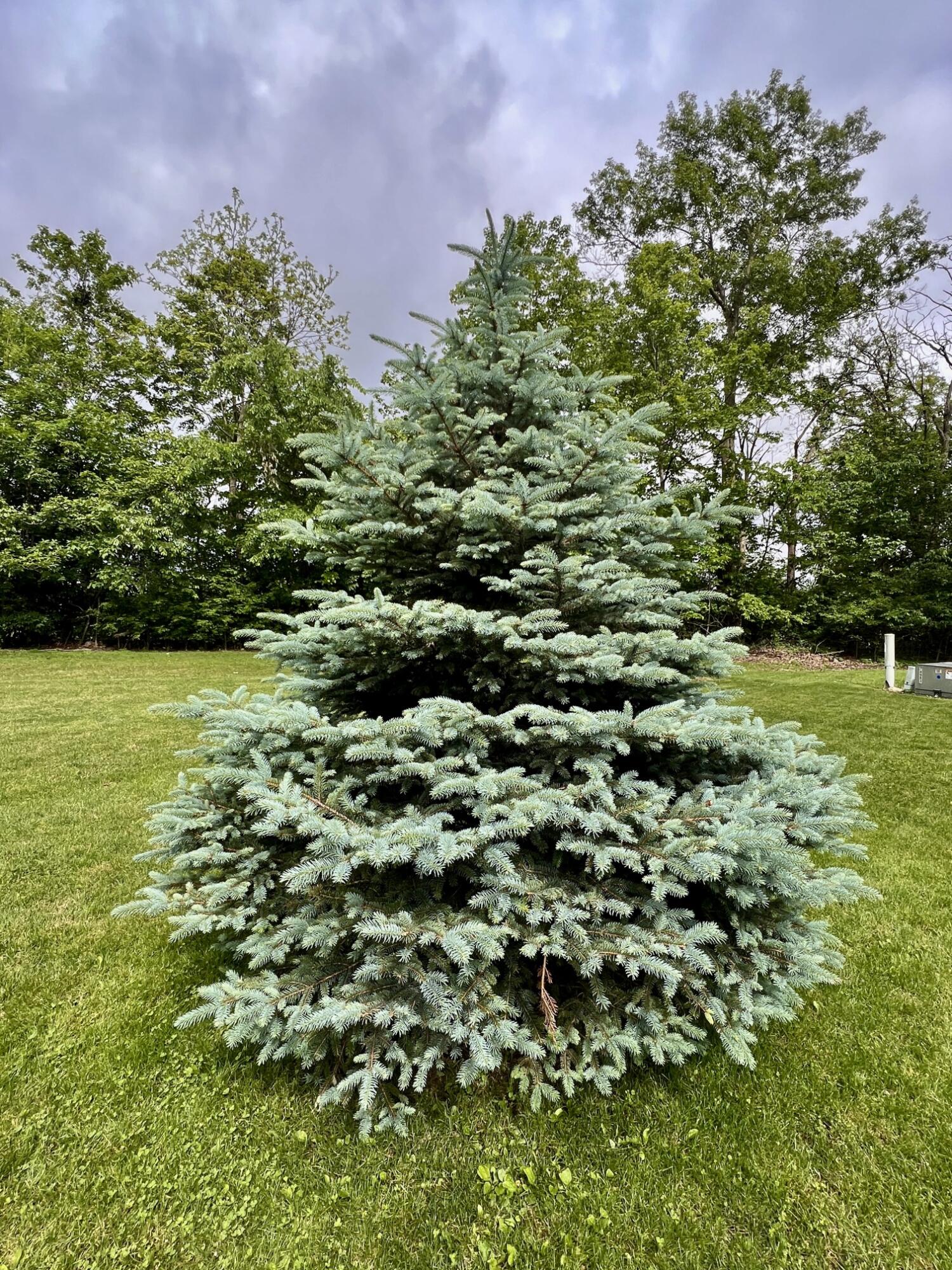 224 Oakcrest Court, Russells Point, Ohio 43348