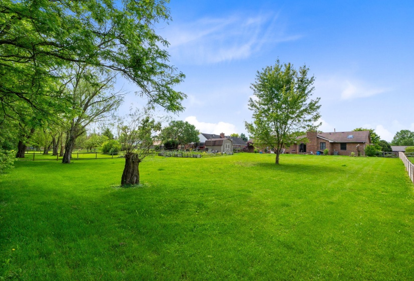 28-web-or-mls-DSC02985