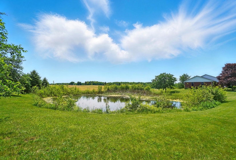 Pond
