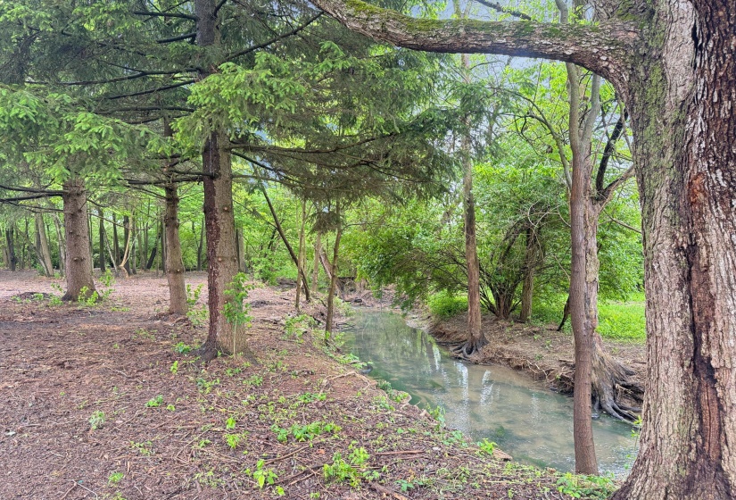 View of the Property