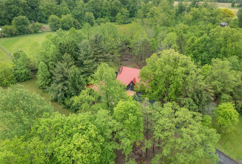 Aerial