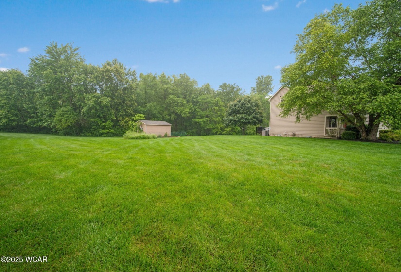 79-web-or-mls-DSC07618