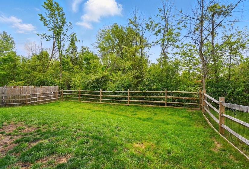 239 Ambassador Drive