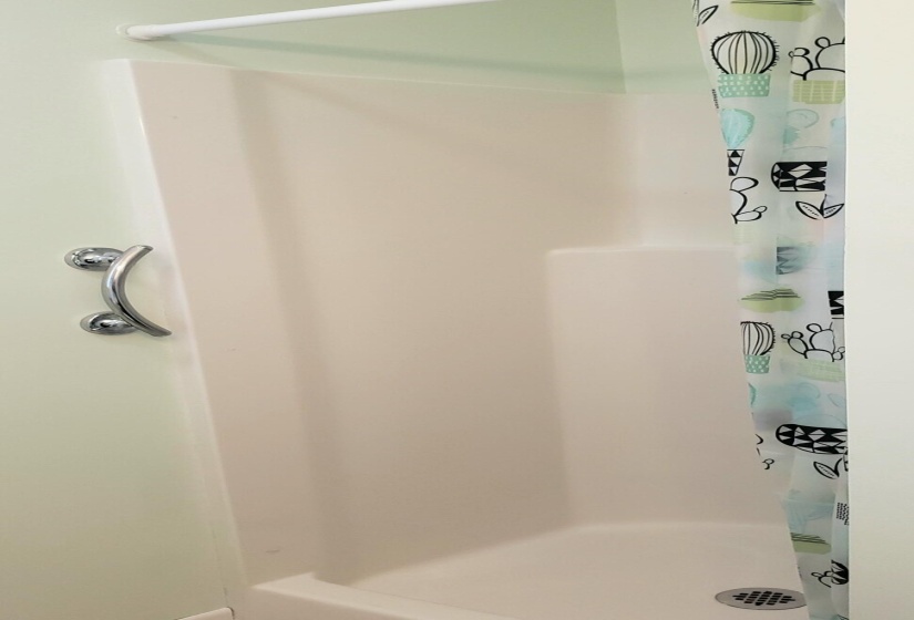 Step in shower