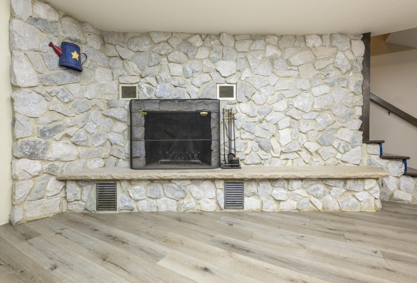 Basement Family Room