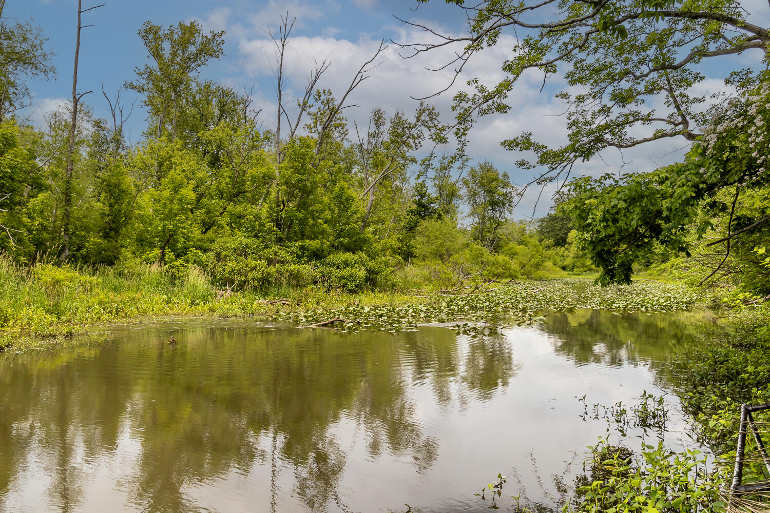 6350 Arcanum Bears Mill Road, Greenville, Ohio 45331