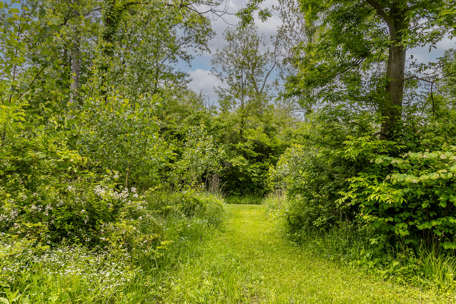6350 Arcanum Bears Mill Road, Greenville, Ohio 45331