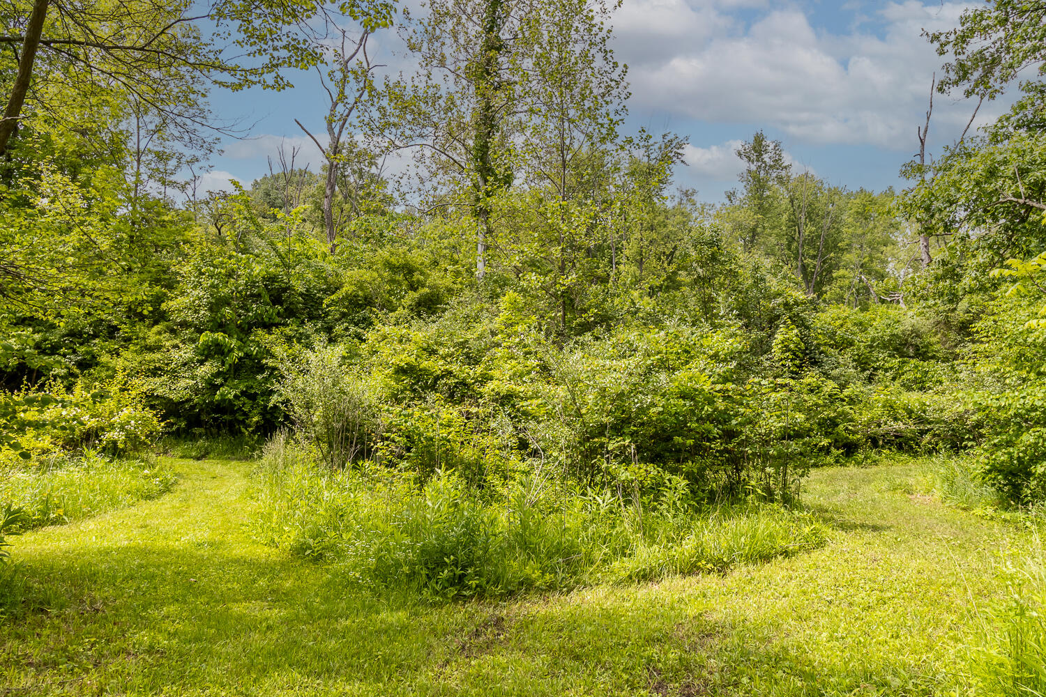 6350 Arcanum Bears Mill Road, Greenville, Ohio 45331