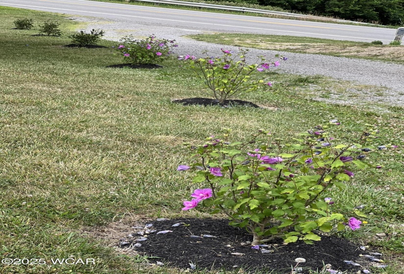2855 State Route 67, Belle Center, Ohio, 3 Bedrooms Bedrooms, ,1 BathroomBathrooms,Residential,For Sale,State Route 67,307278