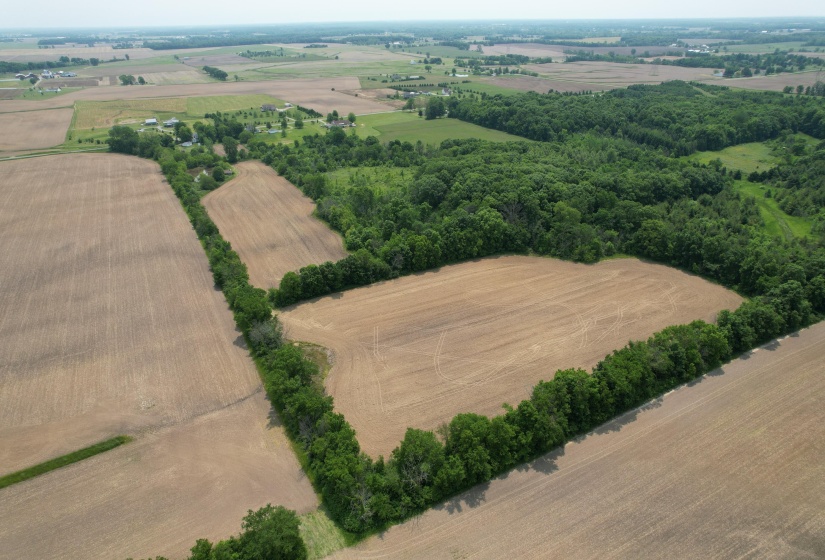 DJI_0796