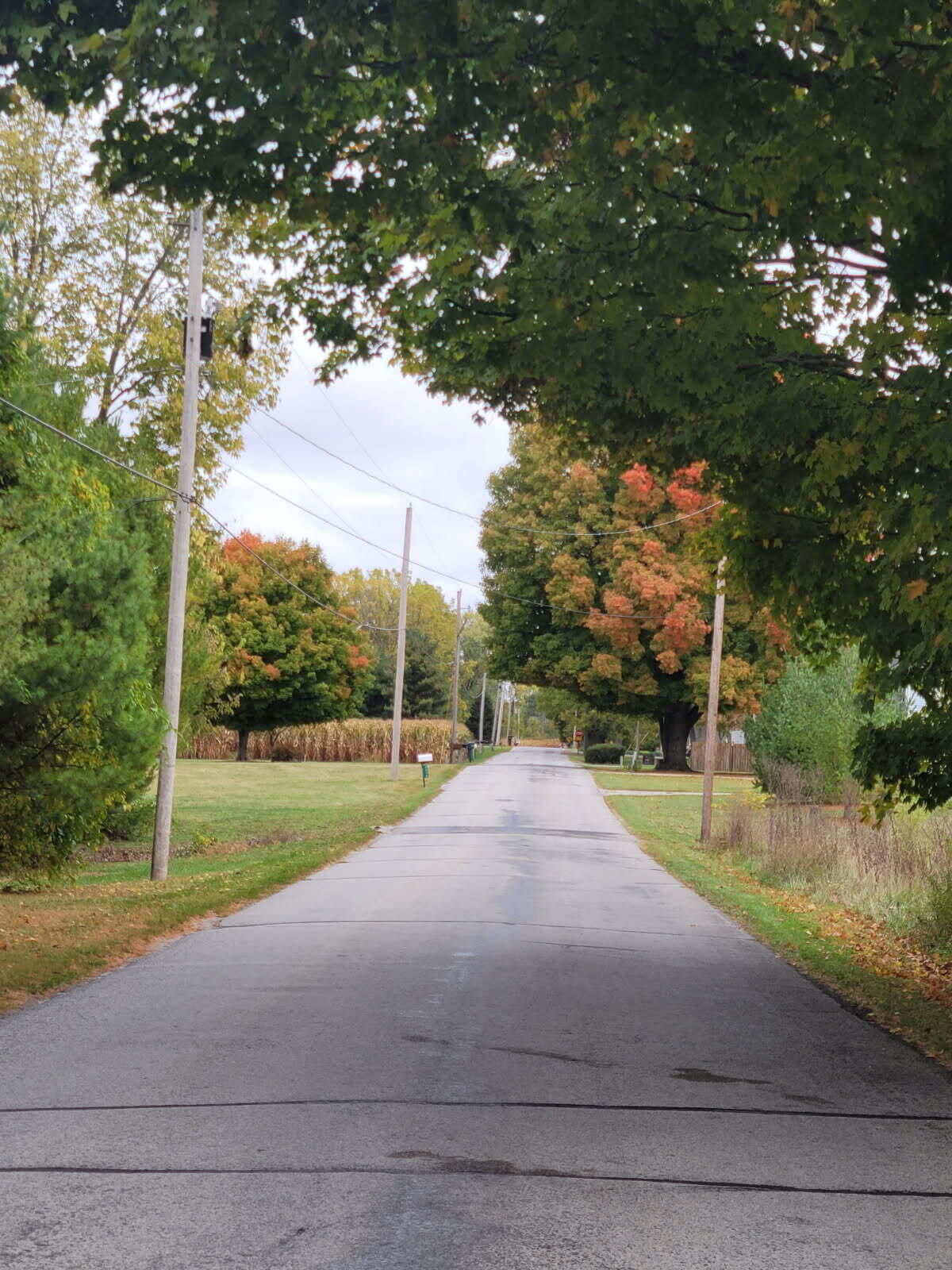 4742 Peacock Road, Springfield, Ohio 45502