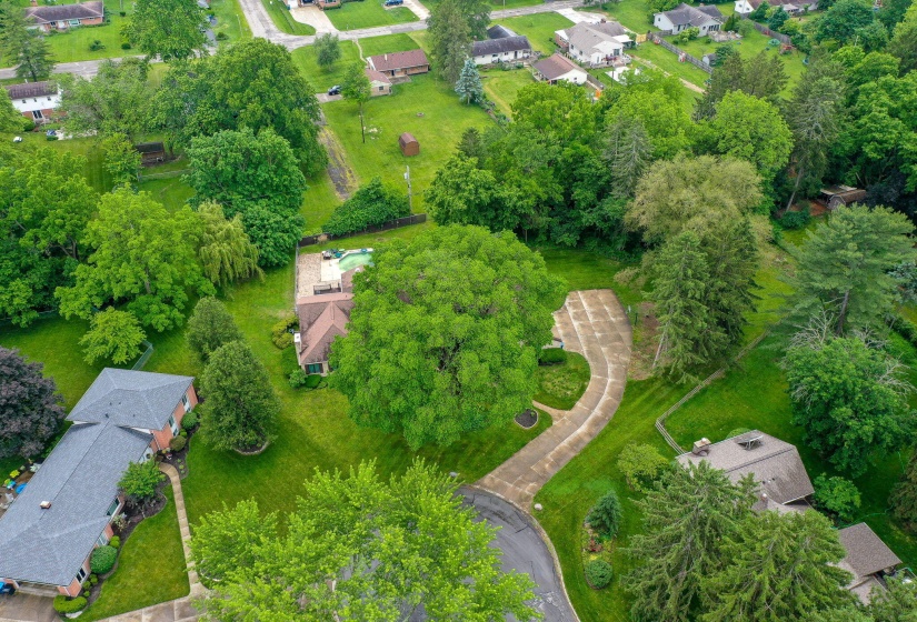 76-web-or-mls-1077-pine-meadow-terrace