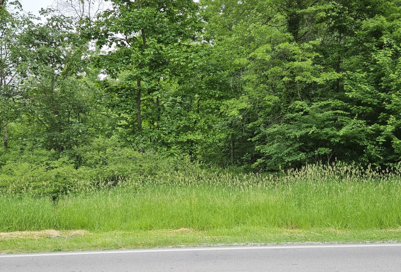 20250606_164442_002