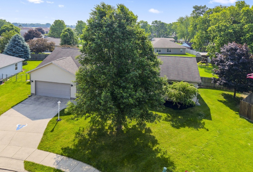 6-web-or-mls-DJI_20250604104557_0002_D