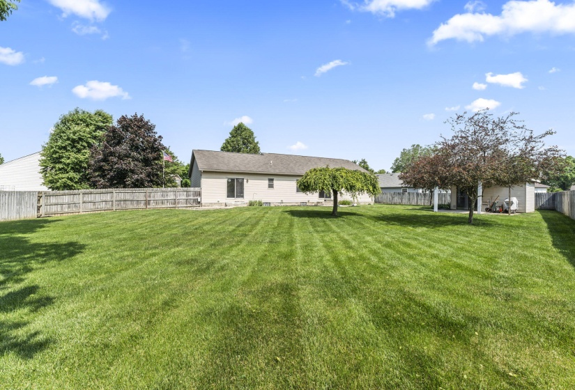 54-web-or-mls-DSC00351