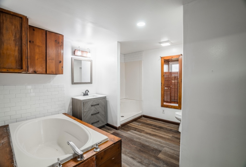 Downstairs bath