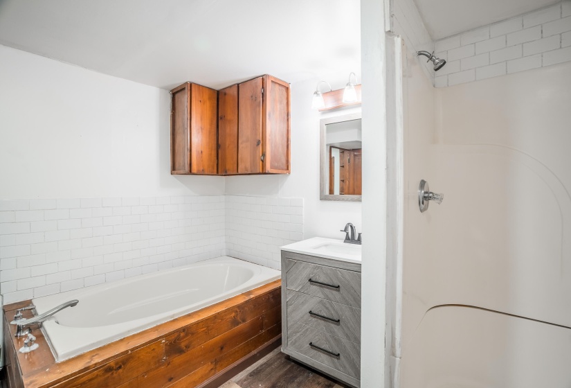 Downstairs bath
